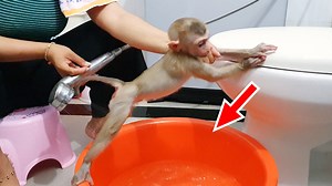 Routine Night Bathing! Baby Sono Crying When Mom Take The Bath At Night | Marry Story