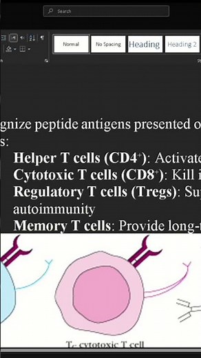 T cell types and role in immunity