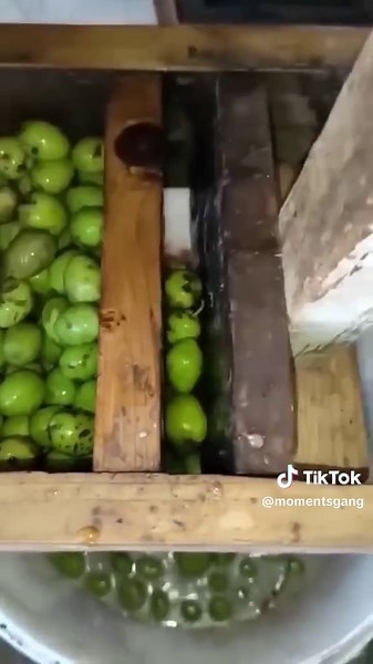 How Olive Oil is Made: Process, Production, and Benefits