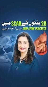 20-Week Scan Reveals Low-Lying Placenta? The Truth Every Pregnant Woman Needs To Know.