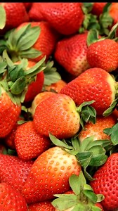 Warning: Watching this may cause intense chocolate cravings! 🍫🍓 Made with love, fresh in-store. | Albertsons Market