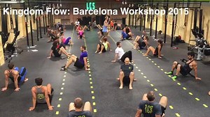 What do you learn in an Animal Flow workshop? The first day is devoted to learning the animal forms, and the second day gets into the switches, transitions, and Flow. Along the way we focus on the regressions, progressions, and applications of all the moves. This clip is from the end of Day 2 at a workshop in Barcelona, Spain, where everybody practices the Kingdom Flow. We're always impressed with how quickly everyone learns to put together the components! | Animal Flow