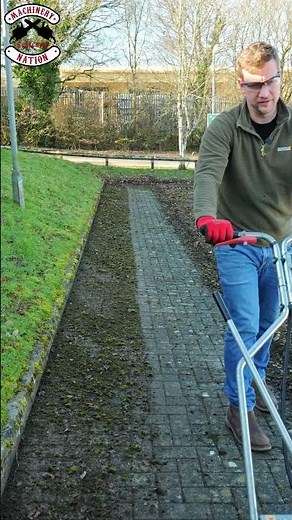 FASTEST Way To Remove Moss!