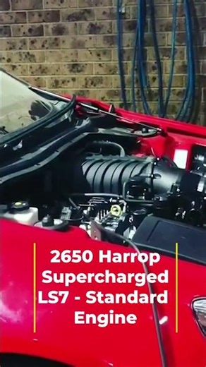 Supercharged LS7 VF Commodore Redline | 570rwkw Dyno Run #shorts #ls7 #supercharged