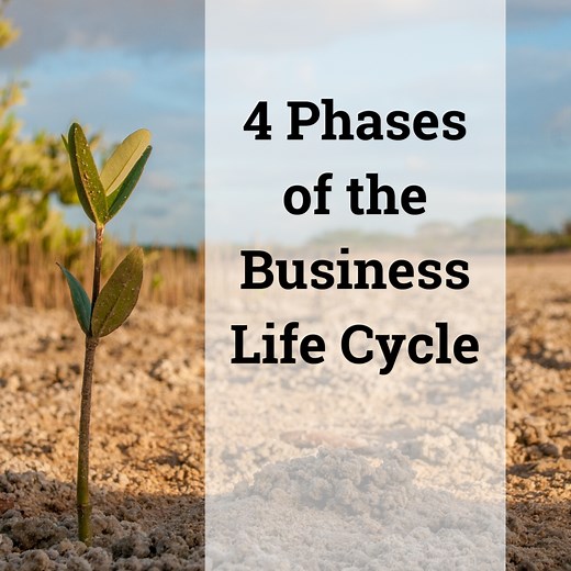 The Business Life Cycle From Establishment to Post-Maturity