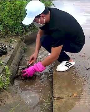 Saving the Street One Drain at a Time