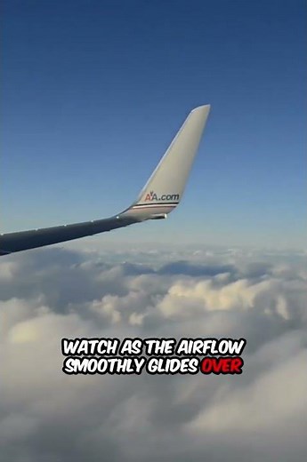 How Do Planes Fly? Explained Simply