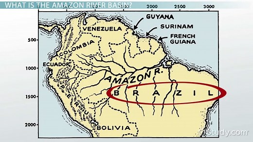 Amazon River Basin Climate & Geography | What is the Amazon River Basin?