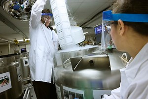 Research Impact | Harvard T.H. Chan School of Public Health