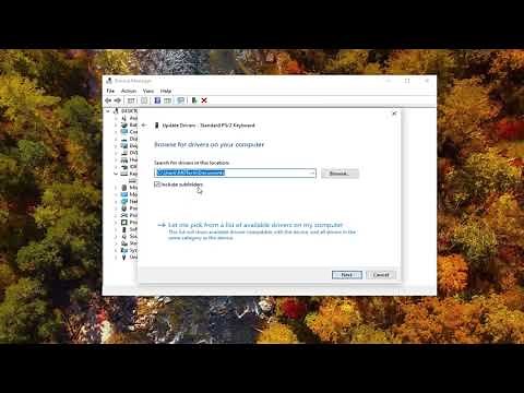 Ctrl+A CTRL+C and CTRL+V Not Working in Windows 10 (3 Possible Solutions)