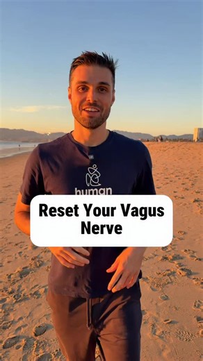Jason van Blerk on Instagram: "The vagus nerve is one of the most powerful nerves in the body. When we have too much tension in the neck it can impact its ability to flow properly leading to digestive issues, stress and anxiety. By releasing tension in the front of the neck it creates space for it to flow properly. This exercise takes 1 minute but feels amazing. When people do it usually they feel calmer/ more relaxed on the entire side of the body."
