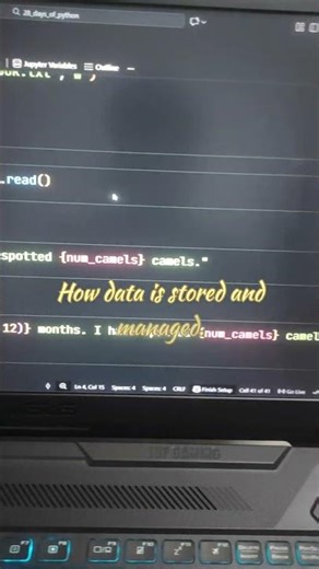 Files, Databases & Command Line in Python || Day 15