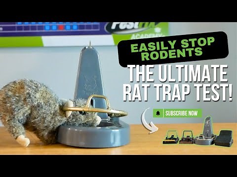 Best Rat Trap? We Tested 4 Popular Snap Traps Head-to-Head
