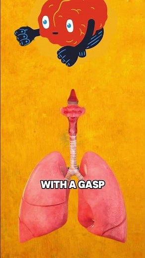 3 Different Types of Sleep Apnea