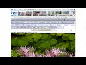 How To Resize Image With Free Image Resizing Tools
