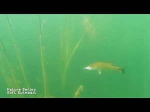 FishLab Nature Series Soft Swimbait - Swim Action