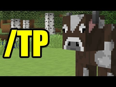 How To Teleport Mobs In Minecraft 1.16