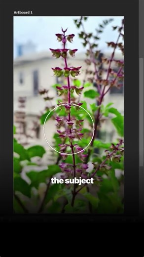 Master highlights and color in Photoshop—use Dodge, Burn, Sponge tools #PhotoEditing #Shorts