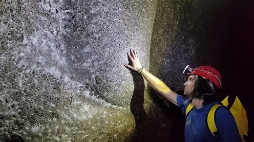 World’s largest spider web discovered