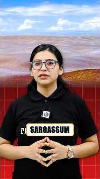 Sargassum in 60 Seconds 🌿 | Class 11 Biology Shorts | Biological Classification