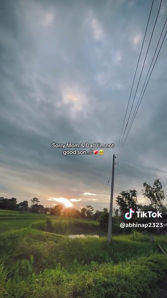 Sorry Mom & Dad - Reflections of a Good Son