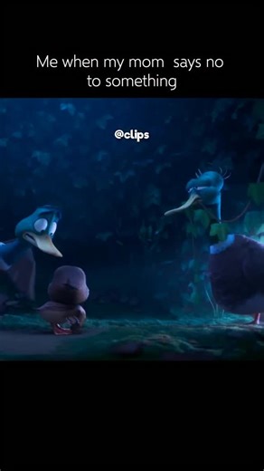 CLIPS on Instagram: "🦆 Interesting fact: Migration (2023) — This animated film from Illumination is about a family of mallard ducks who leave the safety of their New England pond for an adventure in Jamaica. To ground the fantasy in reality, the production team undertook extensive research into the real-life behavior of mallard ducks. They spent time observing the birds in various environments, focusing on capturing the nuances of their flight patterns, paddling movements in water, and their di