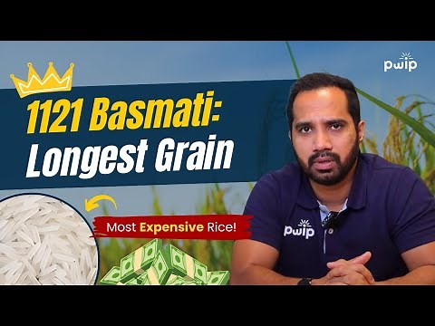 Guide to 1121 Basmati Rice for Beginners | Everything You Need to Know