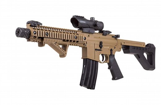 6 Best Co2 Air Rifles for Hunting,Pest Control,Squirrels - Outdoor Moran