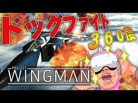 [VR] Powerful dogfights! Project Wingman, a VR game where you control fighter jets, offers an inc...