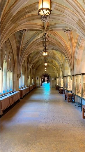 This Library is Disguised as a Gothic European Cathedral