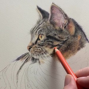 623 reactions · 105 shares | Do you want to learn how to draw animals...