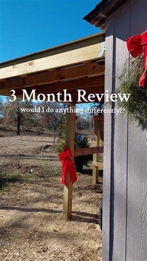 Functional Shed Setup Review: 3 Month Update