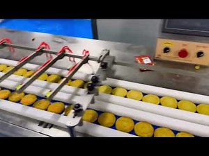 Industrial Chocolate Flow Packaging Line for Chocolate Bar Flow Wrapping Packing Machine
