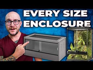 The Best Reptile for EVERY Enclosure Size