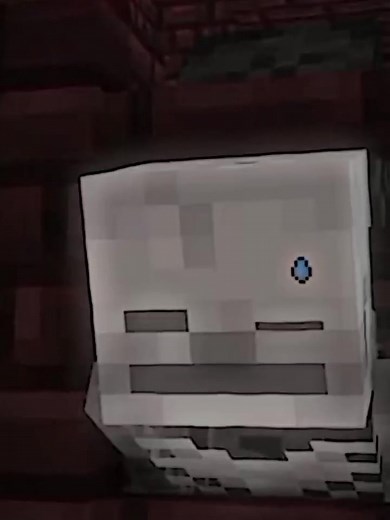 What will happen next?🤫#😳#hmmm #witherxskeleton #witherskeleton #skeleton #minecraft #fyp