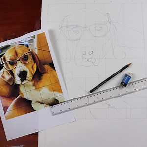 Grid Drawing - Learn How To