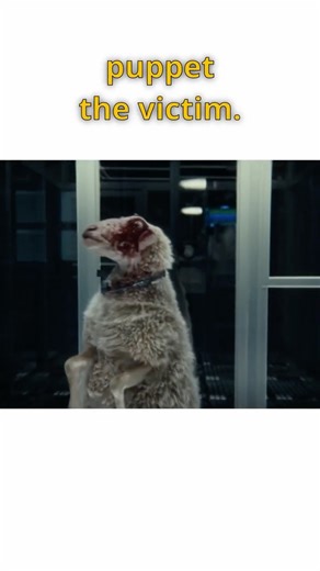 T Ocellus TERROR - Every Xenomorph Explained