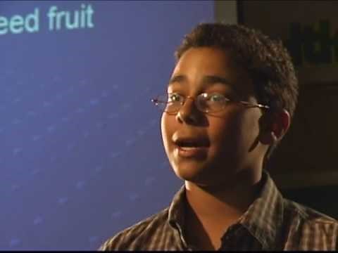 Lesson 1: Teen Nutrition: Exploring the Five Food Groups (Vitamins, Minerals, Osteoporosis + More)