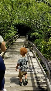 83K views · 1.4K reactions | Uncover Alabama | Landmark Park Dothan, AL - Houston County | This 150 acre park is a perfect spot to spend the day. Enjoy learning Alabama’s history in the restored town & living history farm. Take a walk on the boardwalk or nature trail to see the sights & sounds of Alabama’s wiregrass region. | Uncover Alabama | Facebook