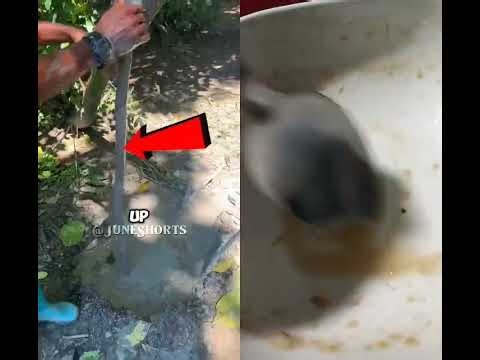 Can You Survive Falling Into 10 Feet Deep Mud? 😨🪂 #mud #whatif #shortvideo