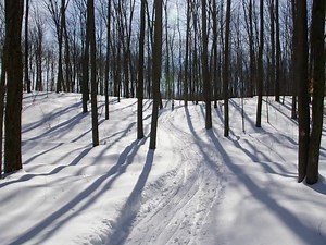 404 reactions · 33 shares | Manistee Tourism on Reels | Facebook