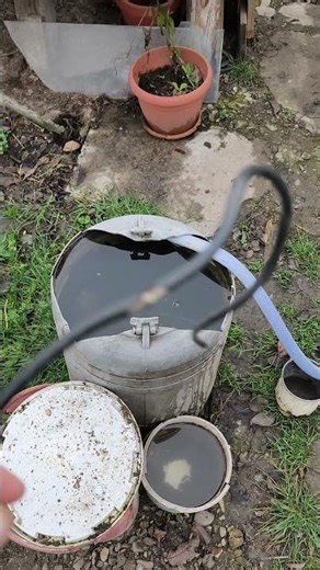 How to throw TV cable into the water #tutorial #absurd #uselessthings #bushcraft