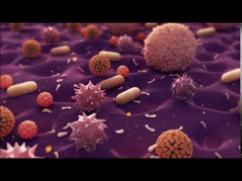 Bacteria Animation