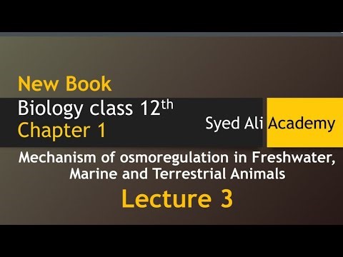 mechanism of osmoregulation in freshwater marine and terrestrial animals | homeostasis | Sindh board