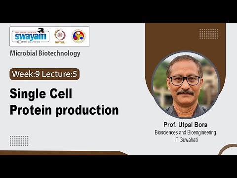 Lec 33: Single Cell Protein production