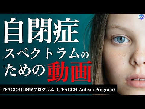 TEACCHの構造化について【自閉症支援】