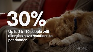 2.7K views · 16 reactions | Did you know about 50 million people in the U.S. have allergies each year? Learn more -- including 5 ways to soothe your symptoms: | WebMD | Facebook