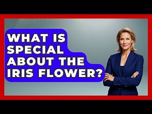 What Is Special About The Iris Flower? - Exploring The Benelux