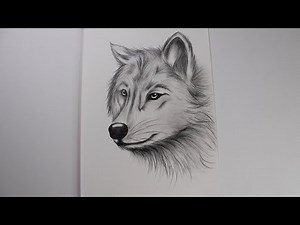 how to draw a realistic wolf step by step
