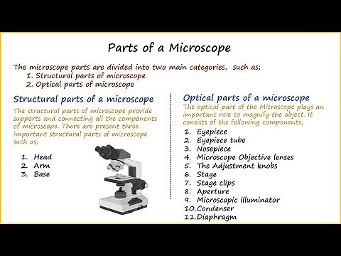 Parts of a Microscope and their function